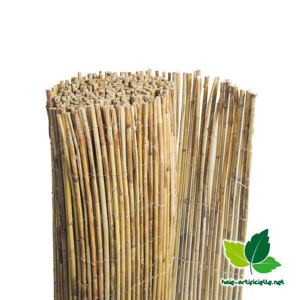 Canisse bambou entier naturel France Green