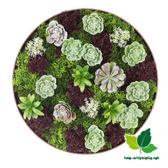 cadre rond mural plantes artificielles succulentes